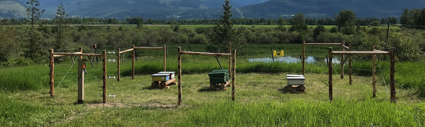 Electric fence around bee yard