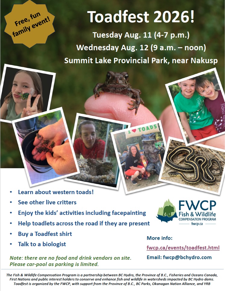 Poster_Toadfest_July_19_2026_thumb.jpg