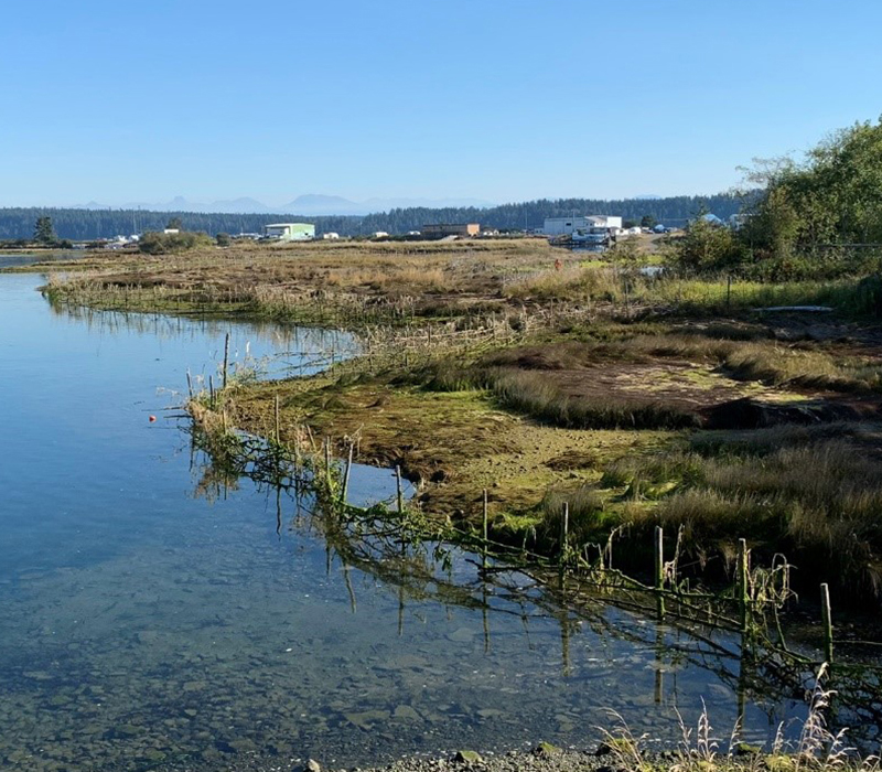 MOB_COA_F23_F_3713_ecocultrestoration_Guardians_of_Mid-Island_Estuaries.jpg