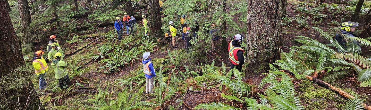 Group of people in the trees with safety gear on