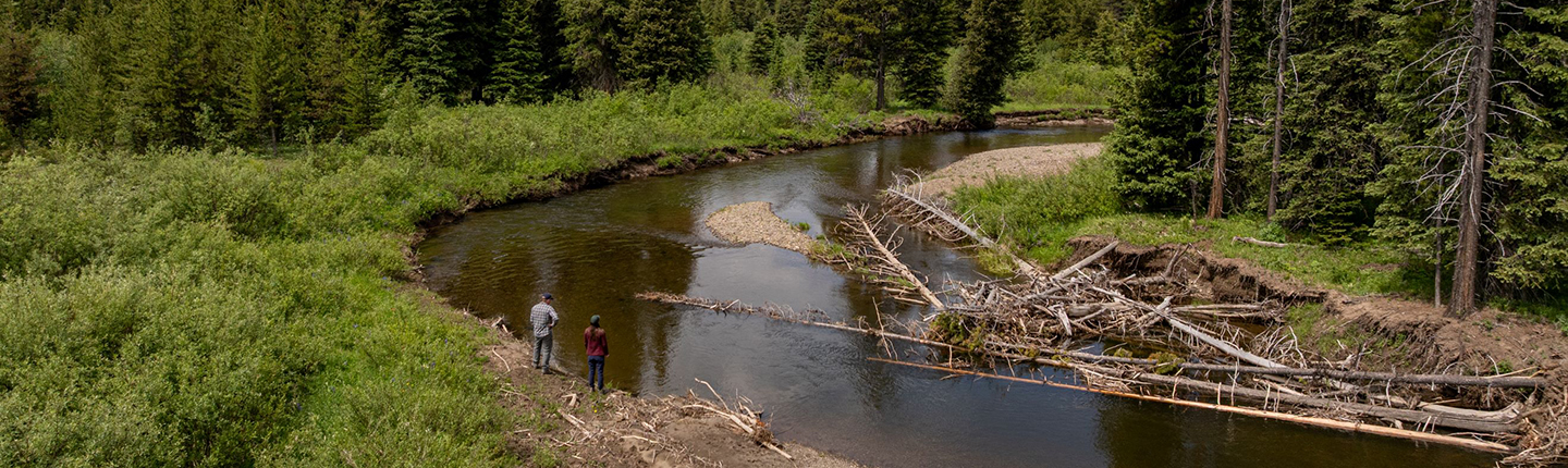 Two people standing next to river and forest
