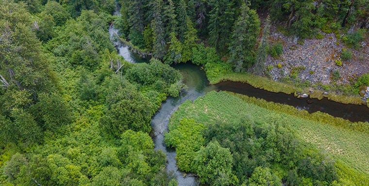 High-value grizzly corridor protected