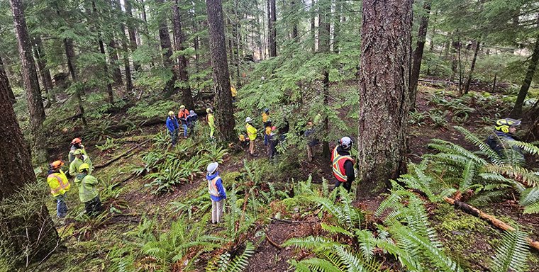 Wildlife Tree Creators Trained