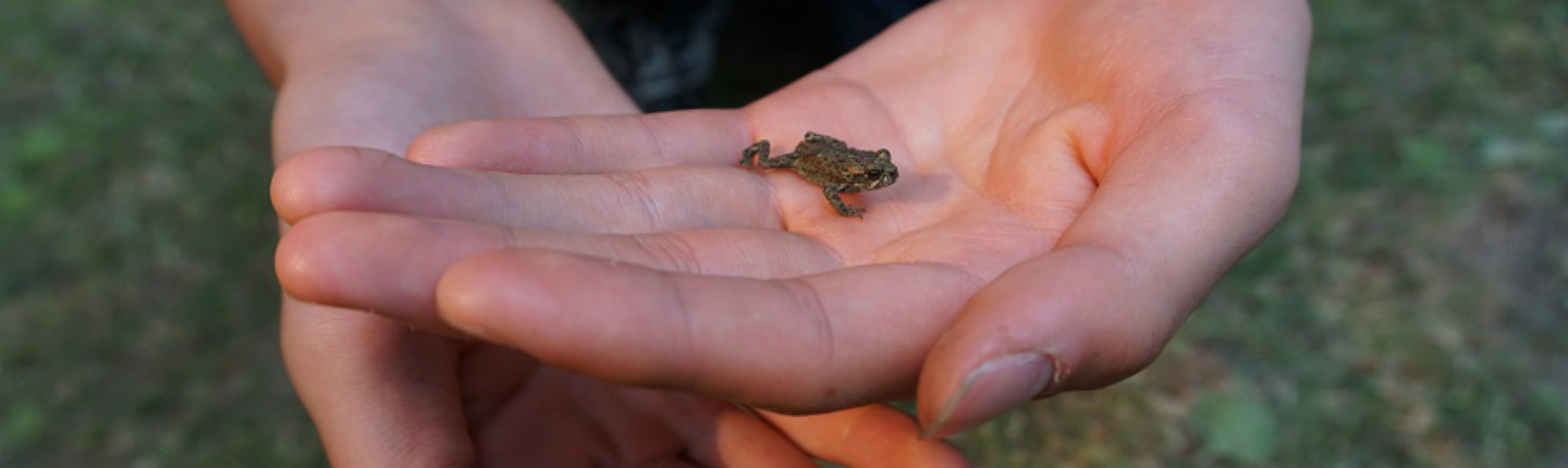 POST-COL-Toadfest-2018-032A.jpg