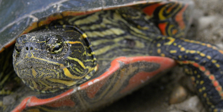 7 non-game enhancement projects