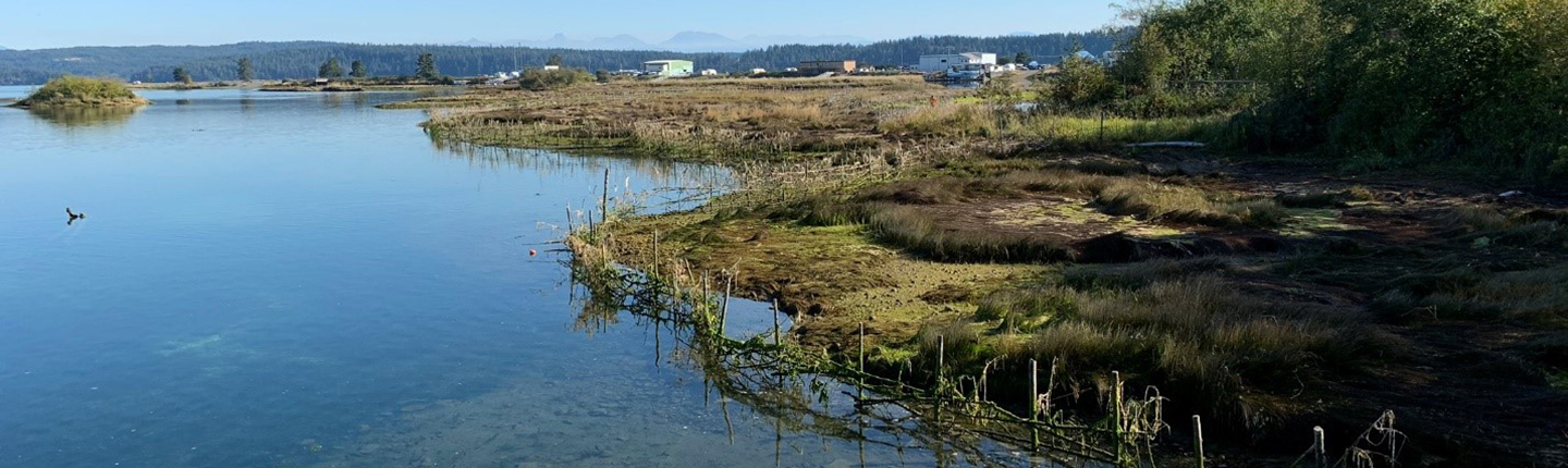 POST-COA-F20-F3090-Campbell-River-Estuary-1Tim-Clermont.jpg