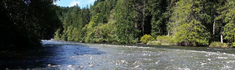 POST-Campbell-River-Campbell-River-Salmon-Foundation-768x229.jpg