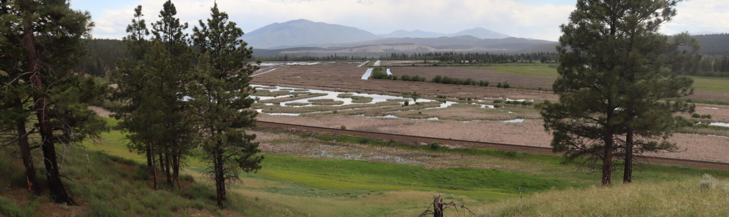 POST-BummersFlats_AG-1440x430.jpg
