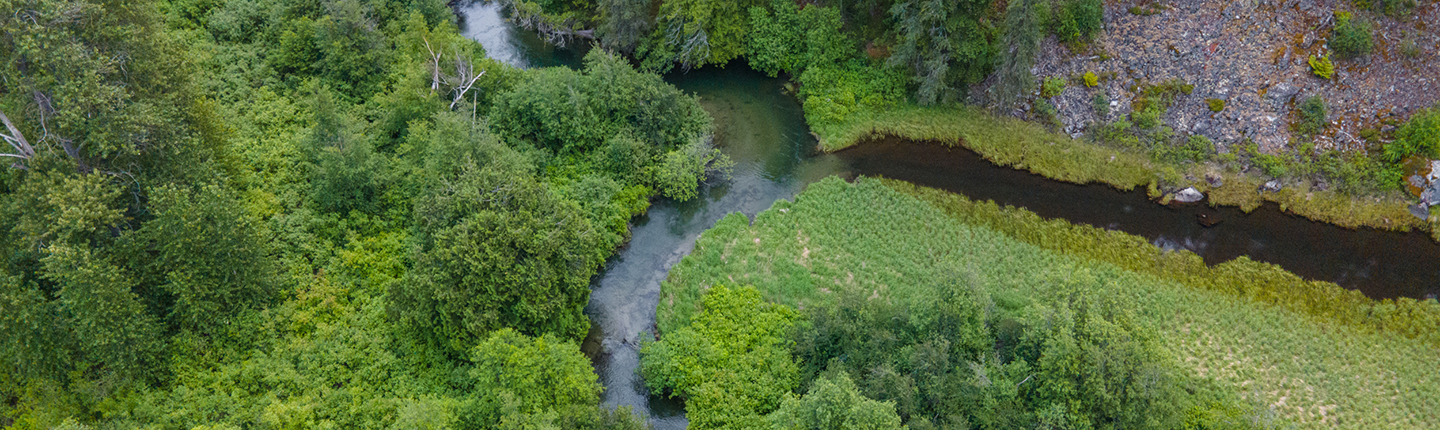 POST-river-and-riparian-forest-Gates-Creek_Fernando-Lessa.jpg